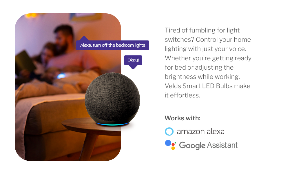 voice assistant giving command to turn on the light