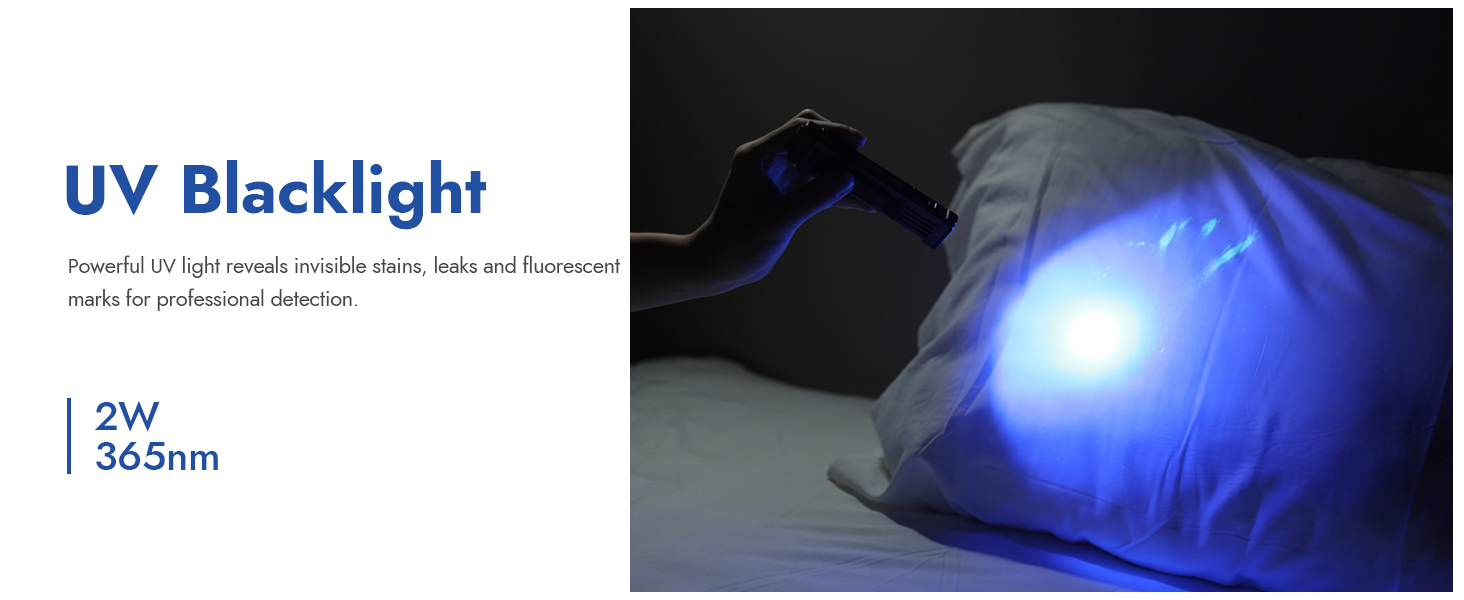 UV Blacklight Flashlight