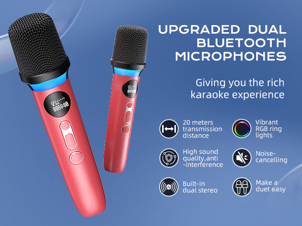 Karaoke Microphone 