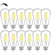12Packs Vintage LED Edison Bulbs, 60W Equivalent 7W, 800Lumens, Dimmable ST64 Antique LED Filamen...