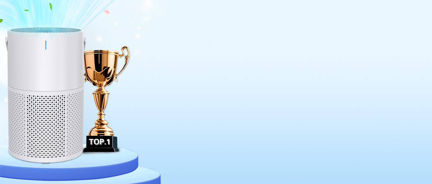 Air Purifier for Home