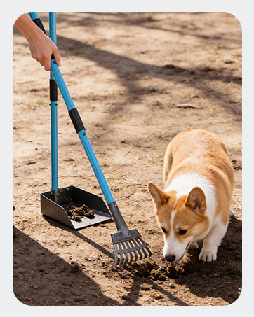 pooper scooper for large dogs