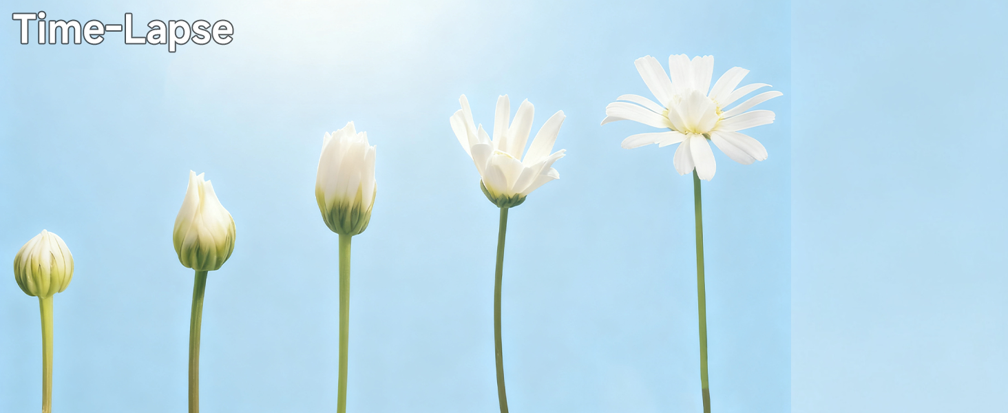 time-lapse video record