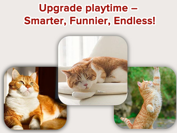 Interactive cat toy ball