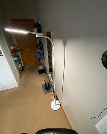floor lamp for office