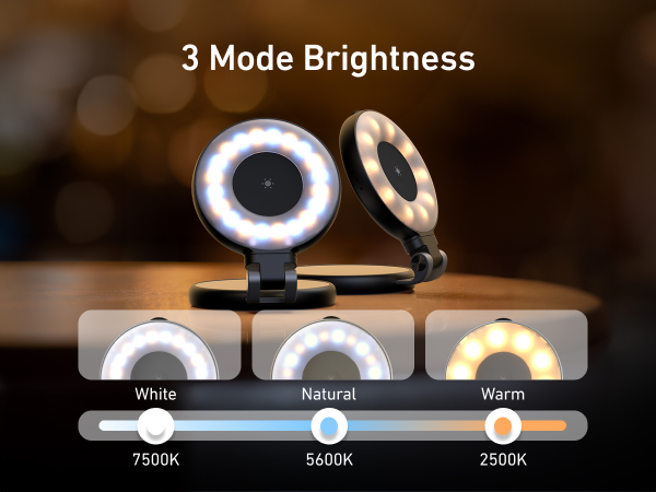 Magnetic Phone Beauty Selfie Light