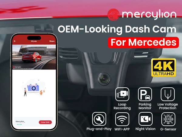 inbuilt dash cam