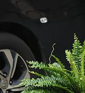 faux fern