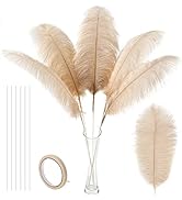Soarer Champagne Large Ostrich Feathers - 10Pcs Making Kit 34inch Extra Large Ostrich Feathers Lo...