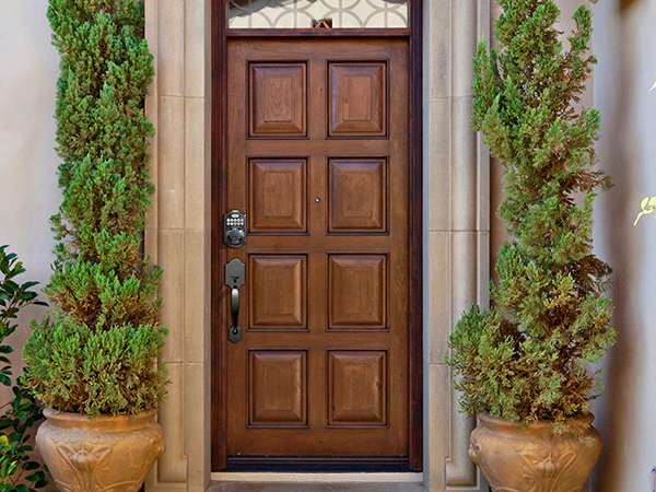 front door smart lock