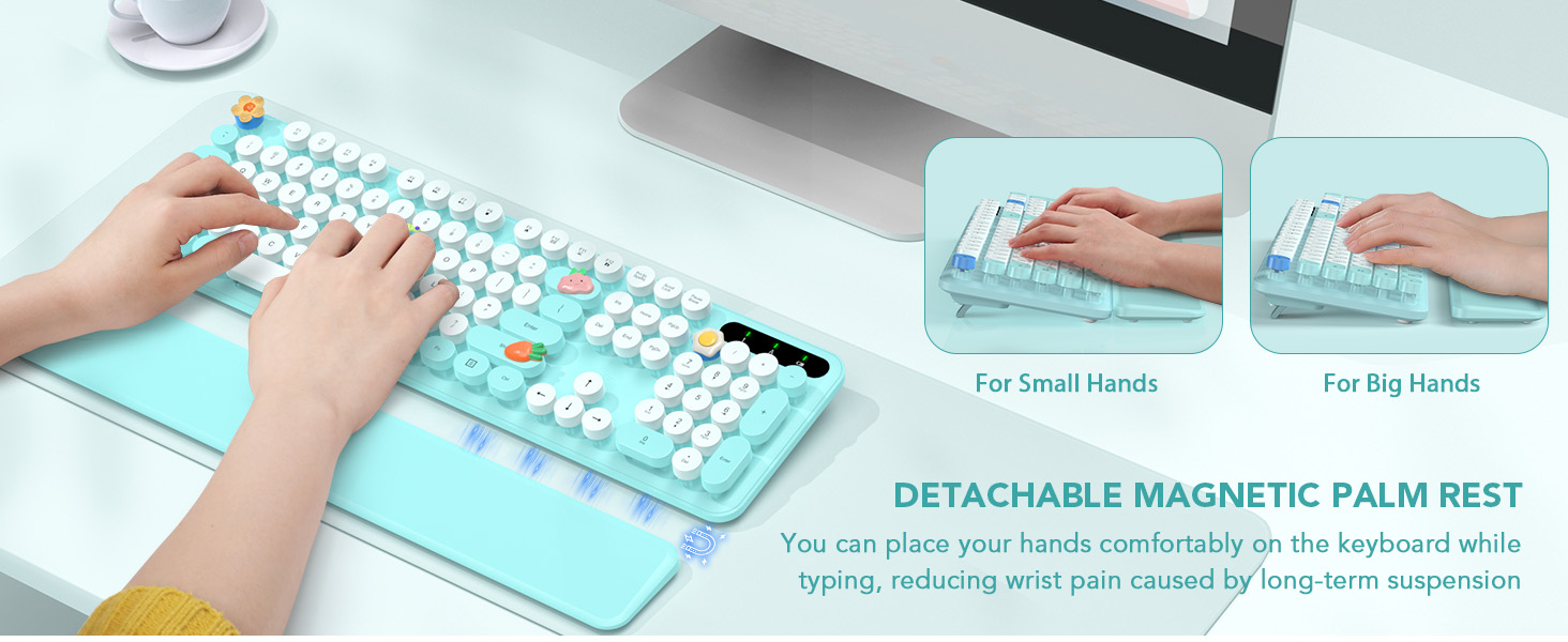 DETACHABLE MAGNETIC PALM REST