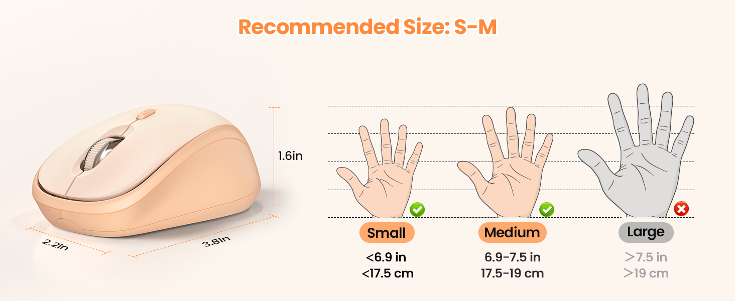 small mouse