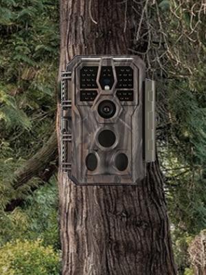 deer camera