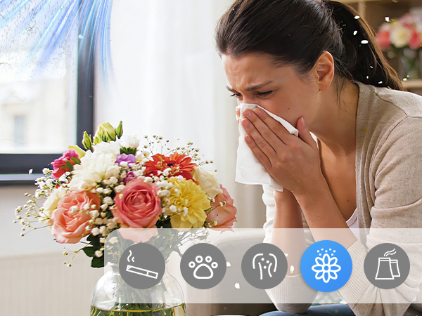 hepa air purifier for mold