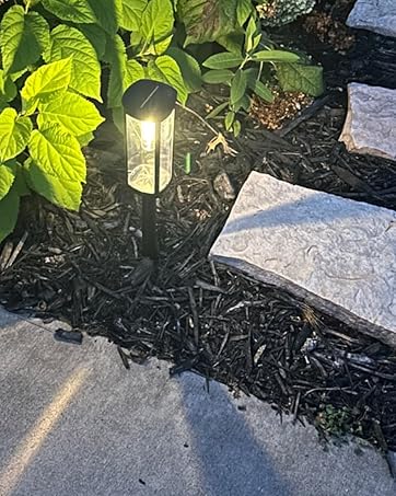 https://m.media-amazon.com/images/S/aplus-media-library-service-media/e6ae5d87-650d-4011-8c9e-d3612cfe0f67.__CR254,483,874,1094_PT0_SX362_V1___.jpg