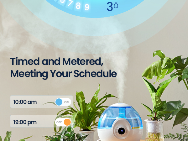 humidifier for plants