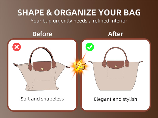 Longchamp organizer