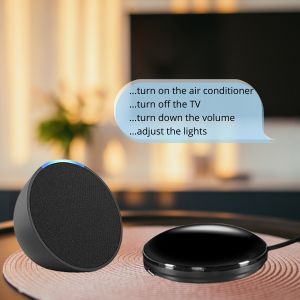 Effortless Voice Control with Alexa