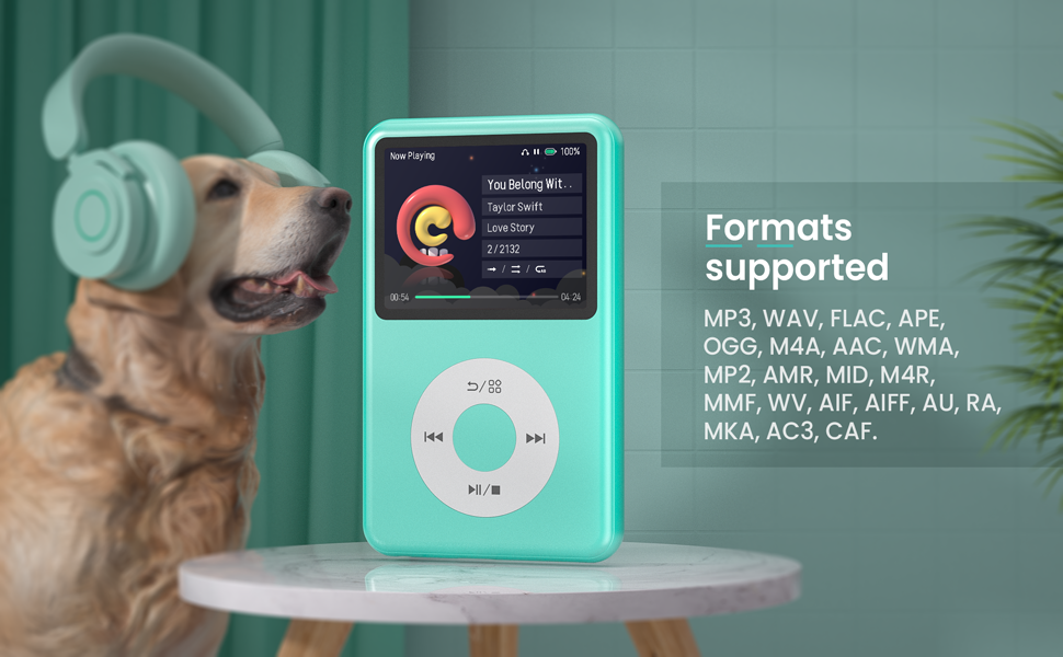 mp3 player hifi music player mp4 playlist management