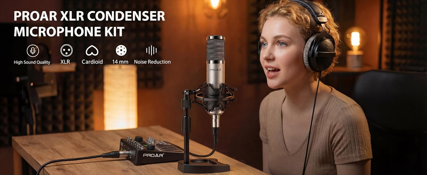 Studio recording microphone