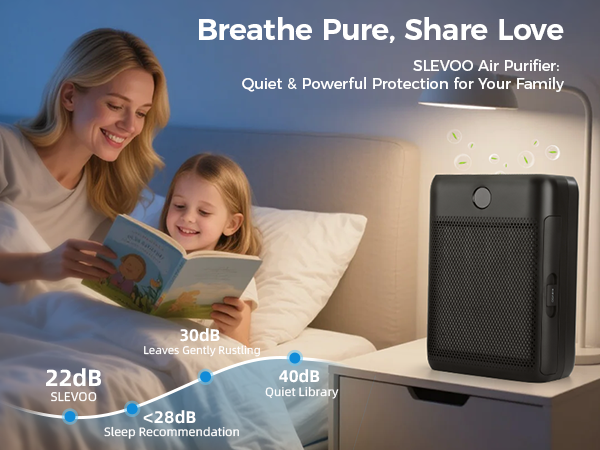 HEPA 13 Air Purifier