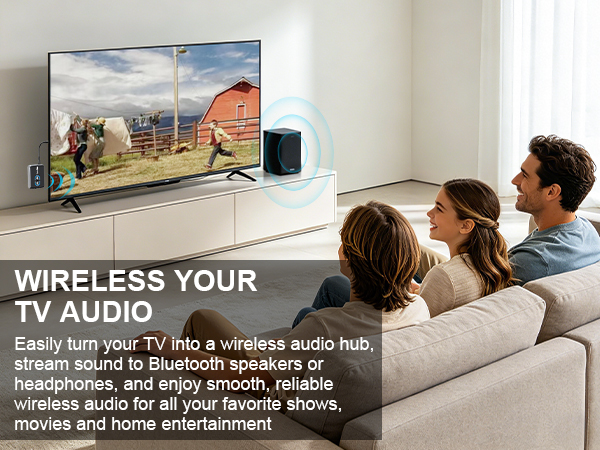 Transmitter Receiver for TV