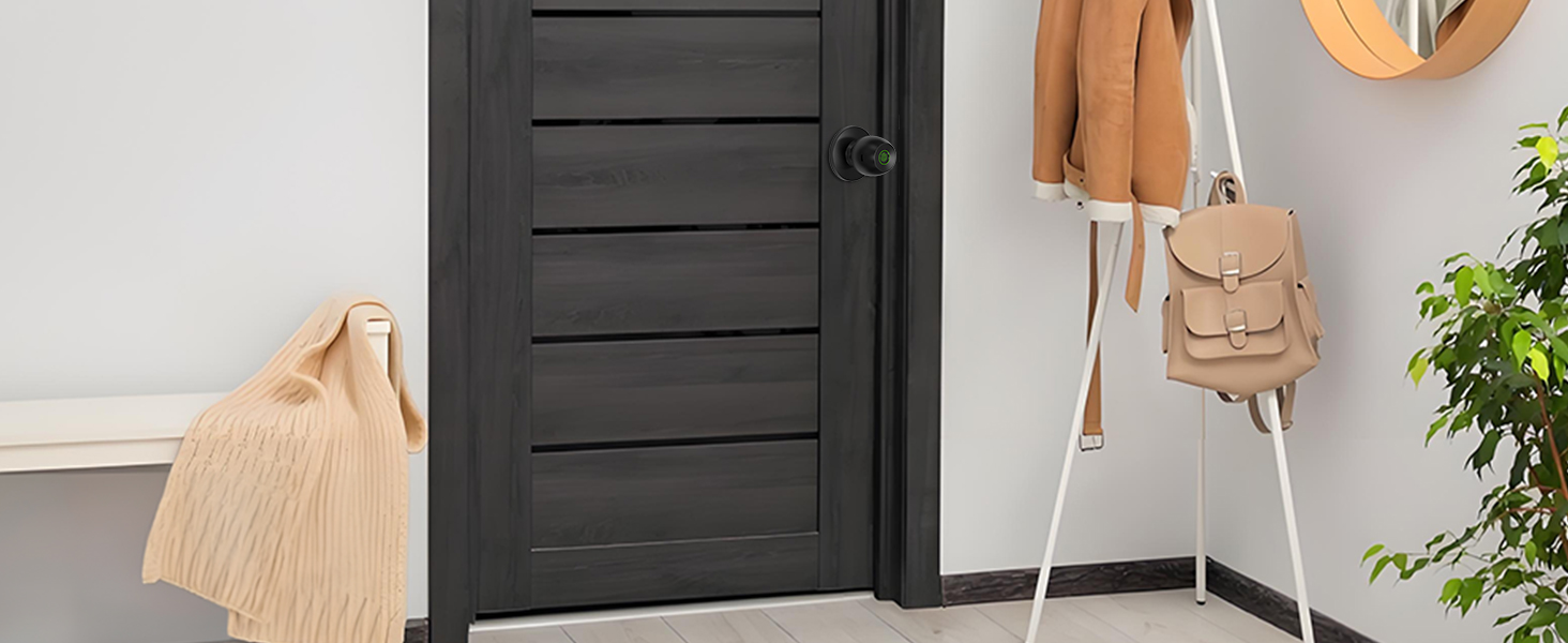 Fingerprint Door Lock