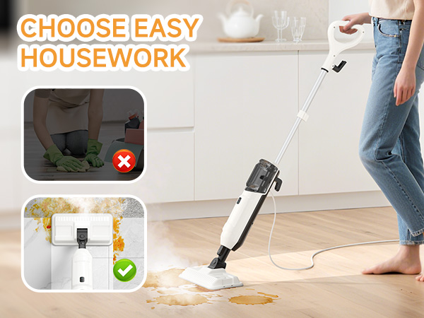 Steam Cleaner for Home