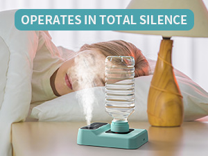 HOMDIS Portable Humidifier Travel Humidifier