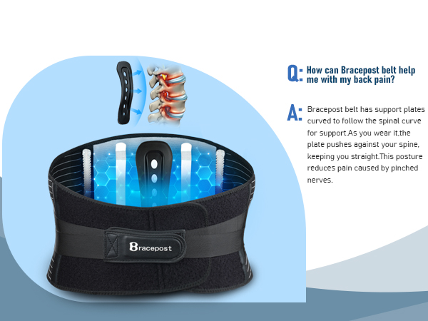 lumbar and back support belt