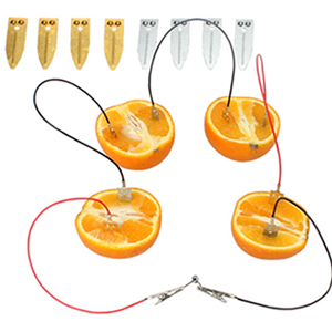 Fruit Battery Experiment