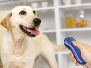 Ultrasonic dog bark deterrent