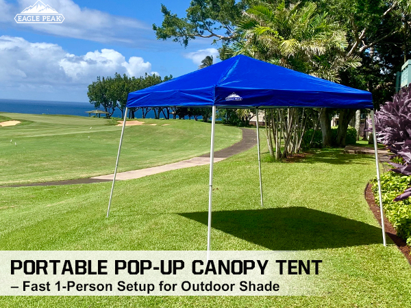 pop up canopy