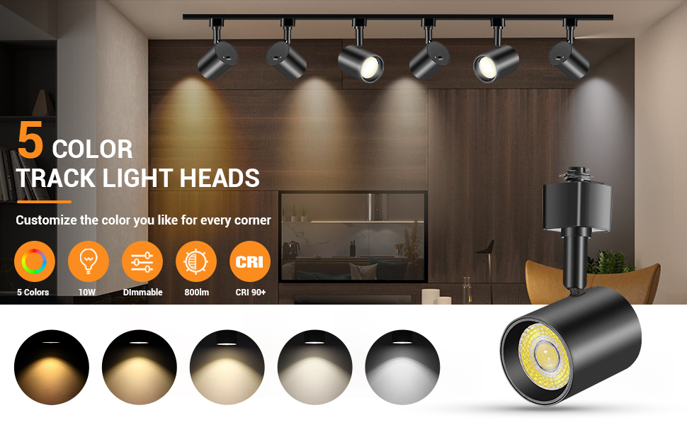 5 color track light heads