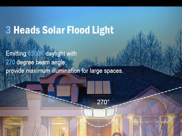 Solar Motion Lights Outside