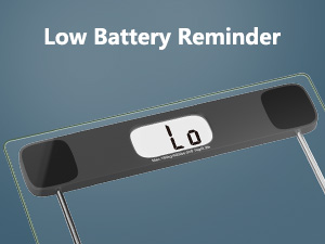 LO battery indicator