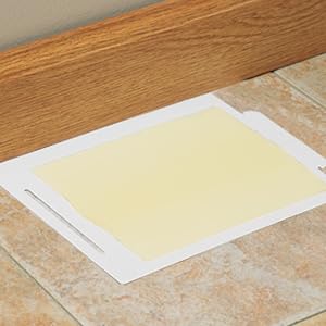 Tomcat Glue Board Flat on Floor