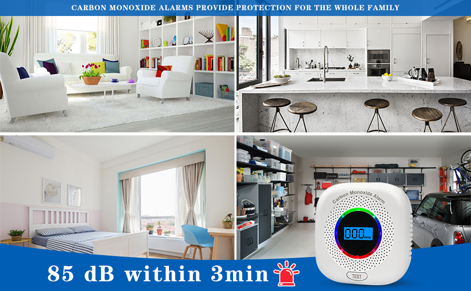 Carbon Monoxide Detector