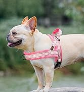 Didog No Pull Dog Harness with Soft Padded, Easy Walk Dog Harness with Quick Release Buckle, Adju...