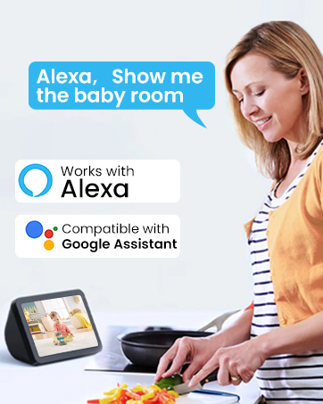 alexa cameras for home security