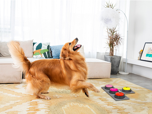 Pet Buzzer Training Buttons