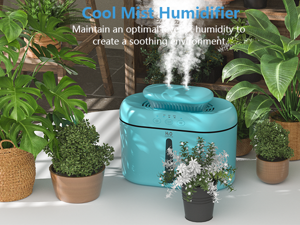 Humidifier for Plants