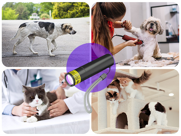 395nm wavelength blacklight flashlights helps to detect food stains and pet urine stains