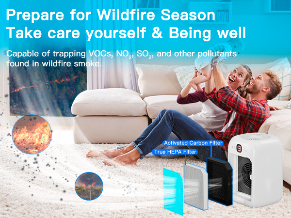 air purifiers for home large room