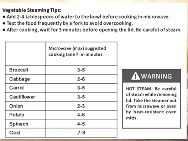 steamer for fish