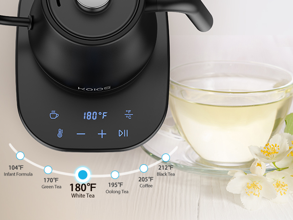 temperature control electric kettle 