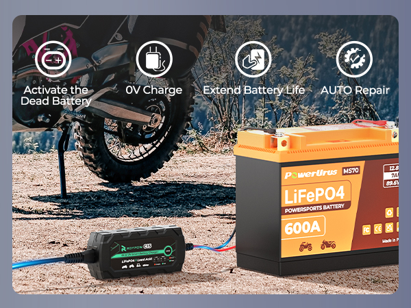 12V Lithium Battery Charger