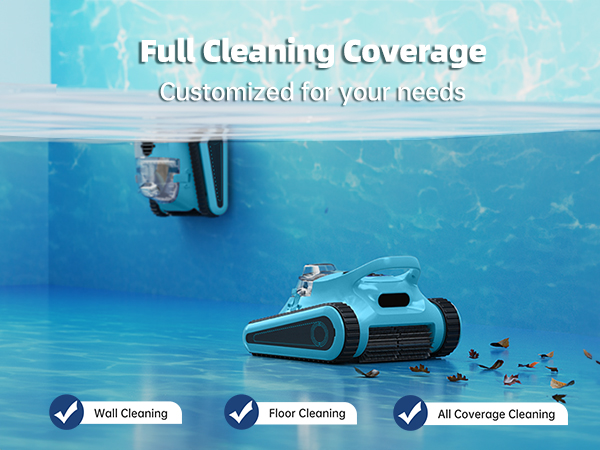POOL VACUUM INGROUND
