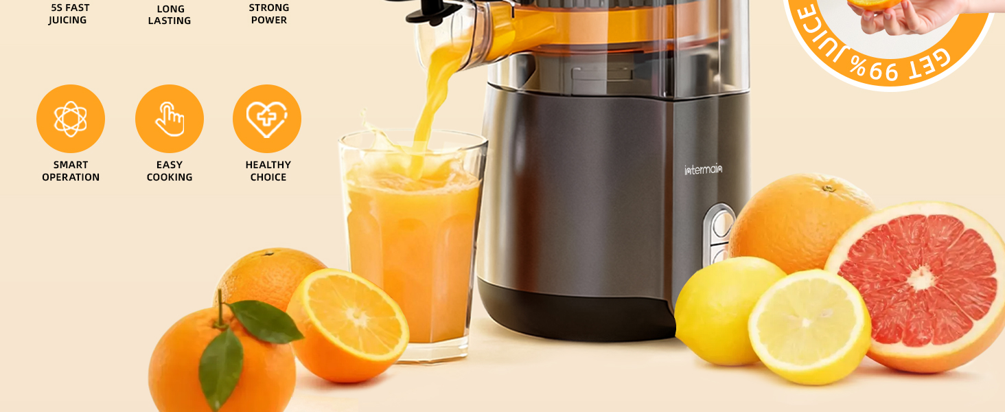 ELECTRIC CITRUS JUICER