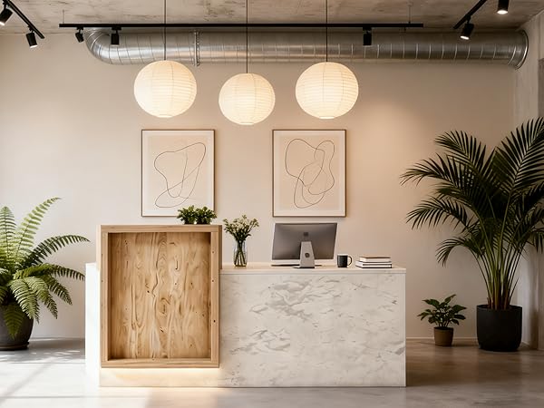 Modern Reception Desk with Counter